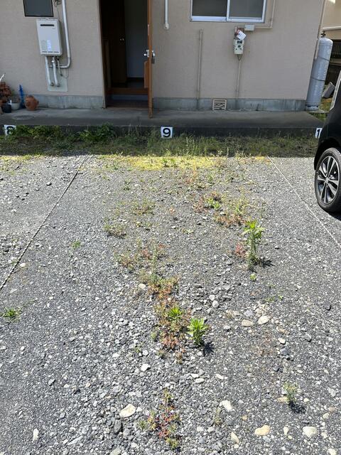 現地（駐車場）／敷地内駐車場空き有