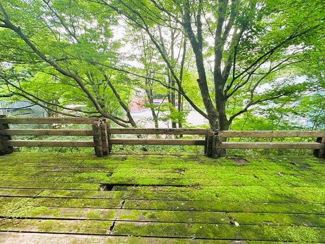 detached 宮城県柴田郡川崎町大字前川字手代塚山 地図を見る