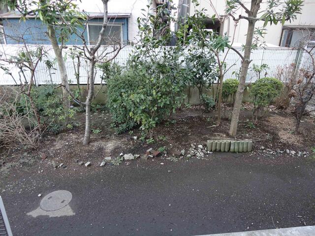 庭／専用庭／撮影日2011-03-19