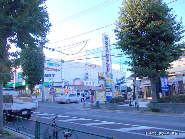サミットストア桜店 (38m)