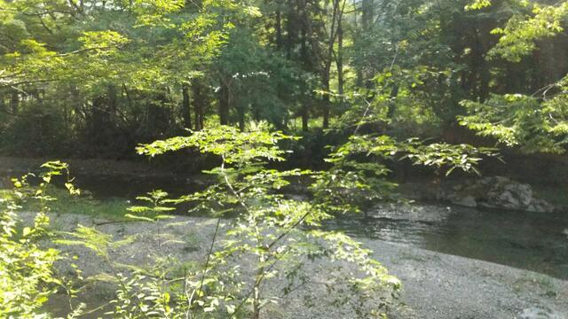 detached 埼玉県飯能市大字赤沢 地図を見る