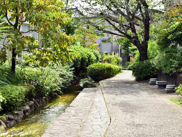 岩戸川緑地公園 (775m)