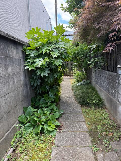 detached 東京都板橋区赤塚１丁目