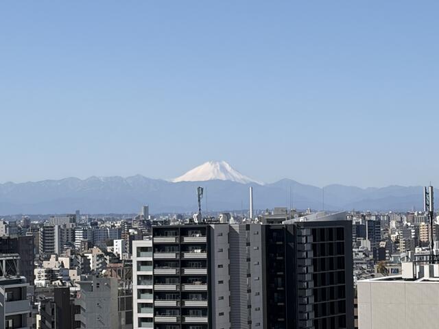 住戸からの眺望／眺望（富士山）