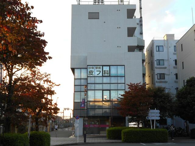 現地（外観）