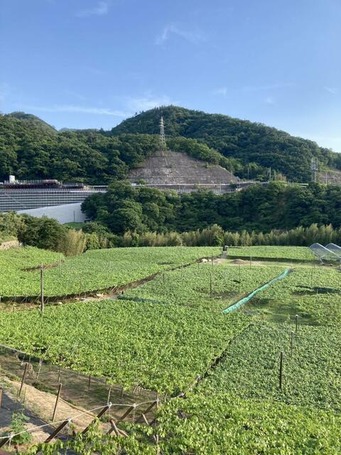 detached 山梨県甲州市勝沼町勝沼