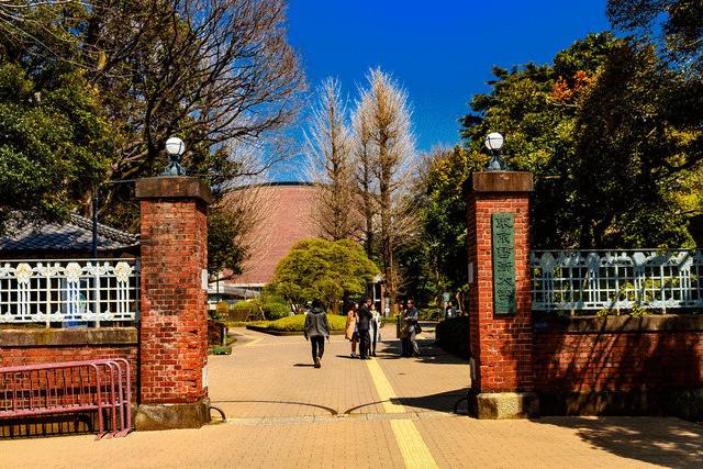 国立東京芸術大学 (399m)