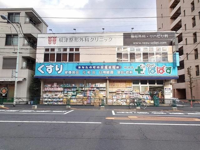 どらっぐぱぱす根津店 (738m)
