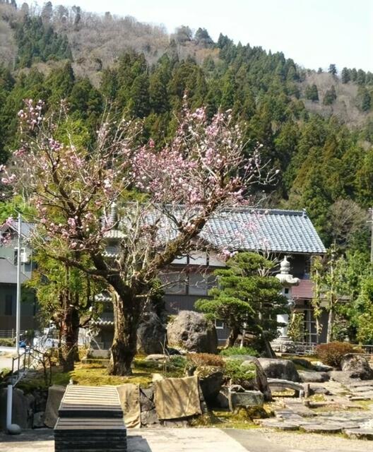 detached 福井県勝山市鹿谷町北西俣 地図を見る