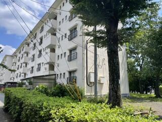 滝山団地 2階 物件写真 6