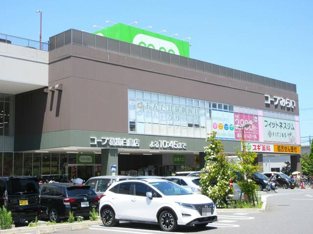 コープ葛飾白鳥店 (387m)