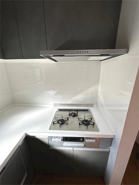 townhouse 埼玉県さいたま市見沼区大字南中丸 地図を見る