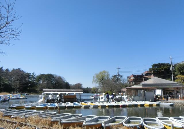 都立石神井公園 (1,100m)