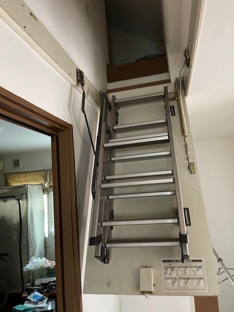 detached 東京都江戸川区新堀２丁目