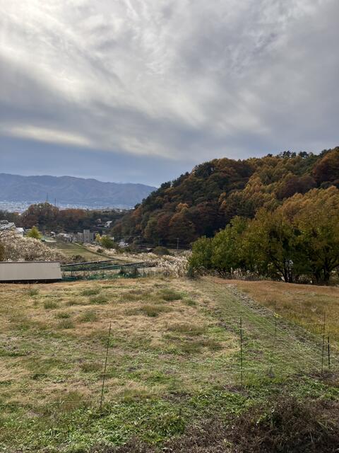 住戸からの眺望／この眺めが何気ない日常に彩りを与えます／撮影日2025-11-13