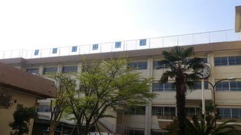 葛飾区立葛美中学校 (154m)