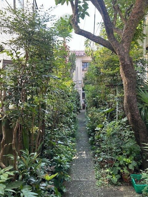 住戸からの眺望