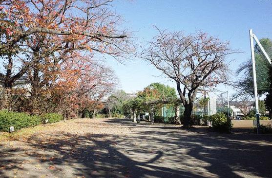 柴崎公園 (611m)