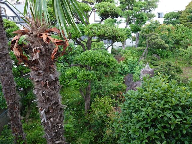 グリーンコーポＲ＆Ｙ 2階 物件写真 13
