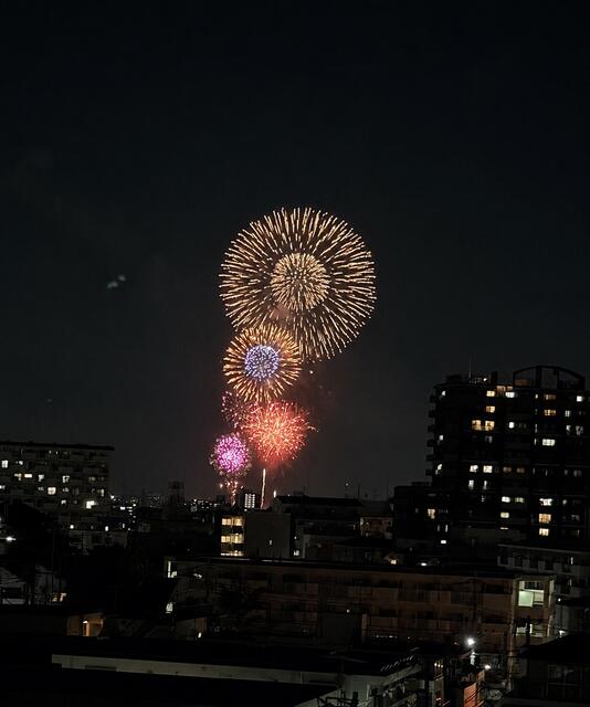 サンリヤン練馬北町 8階 物件写真 6