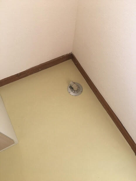ピーヌスセカンド 物件写真 11