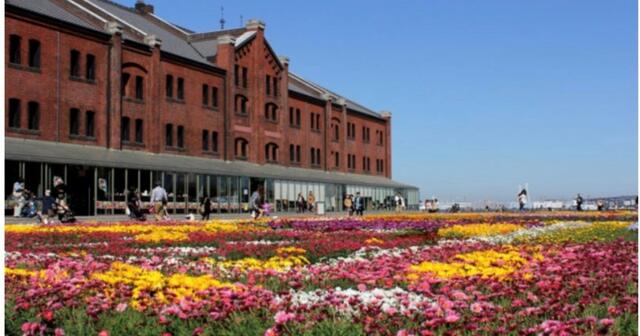 横浜赤レンガ倉庫 (700m)