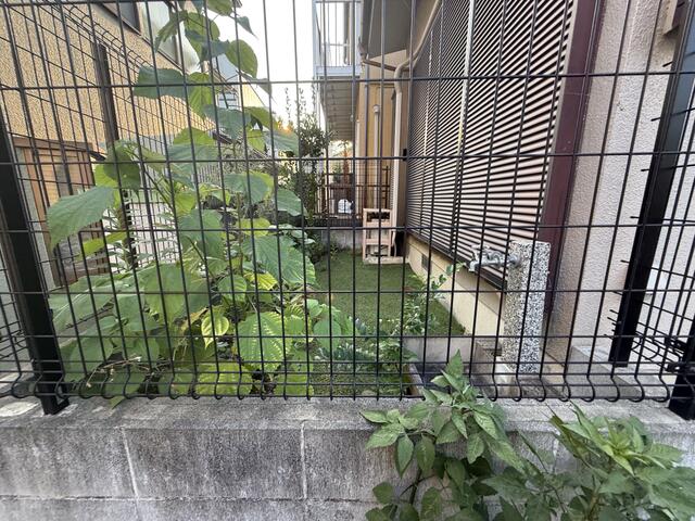 庭／撮影日2025-08-26