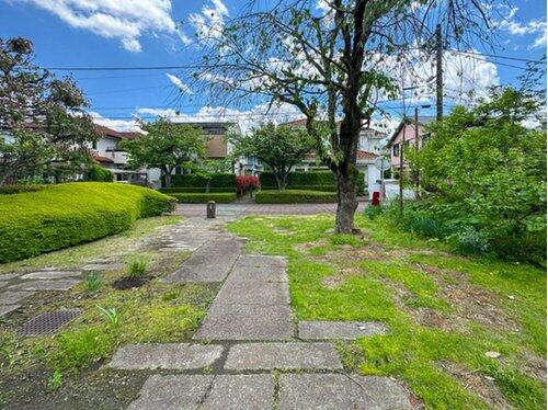 庭／住居南側に公園がございます。お子様を近くで見守れる住環境も魅／撮影日2024-11-25
