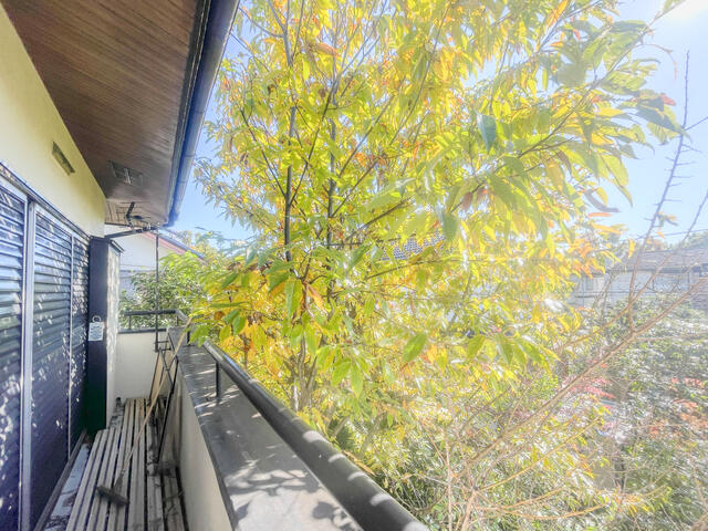 バルコニー／新鮮な空気だけでなく気持ちにゆとりを与えてくれるバルコニー／撮影日2024-11-25