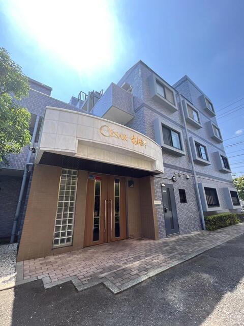 現地（外観）／北東側エントランスとマンション外観。出かけるとき、帰宅の時も