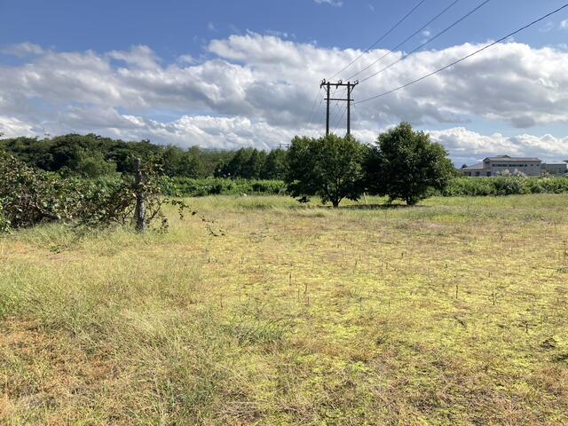 detached 新潟県上越市柿崎区直海浜
