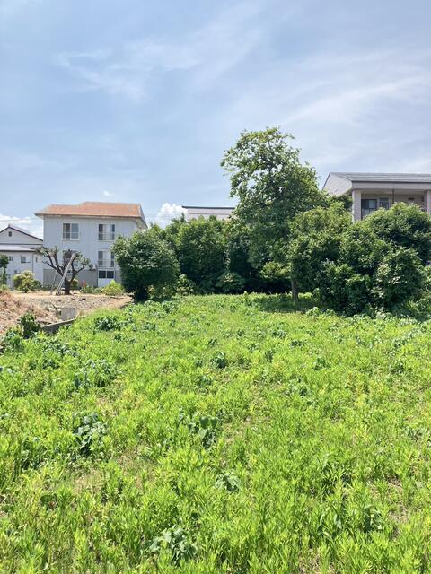 detached 新潟県上越市幸町