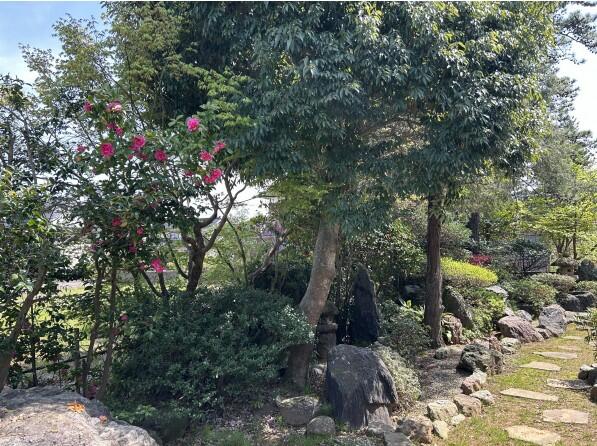 detached 新潟県柏崎市大字新道