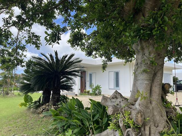 detached 沖縄県石垣市字桴海 地図を見る