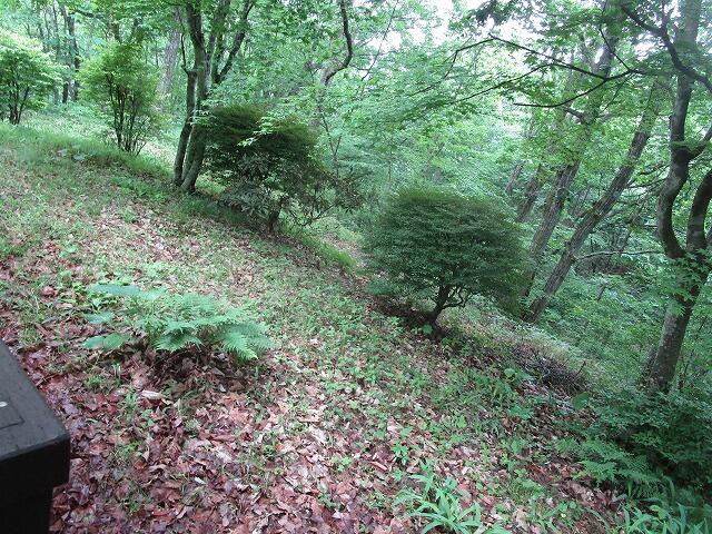 detached 群馬県吾妻郡長野原町大字長野原 地図を見る