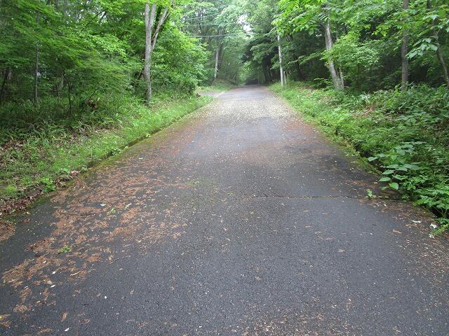 detached 群馬県吾妻郡長野原町大字長野原 地図を見る