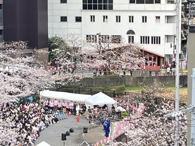 目黒川の桜がバルコニーから見られます／撮影日2026-04-02