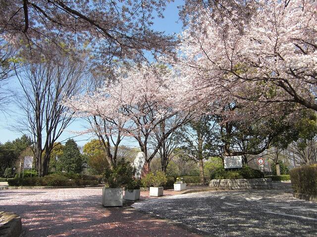 引地台公園 (1,223m)
