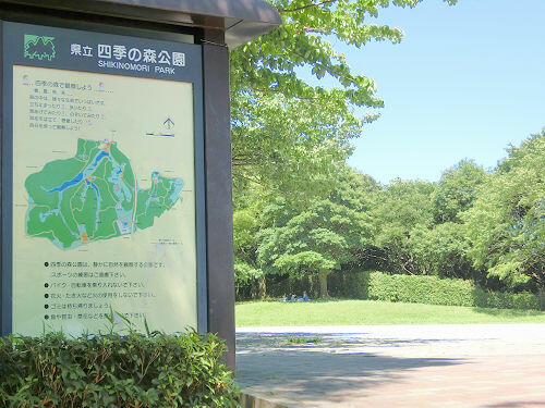 神奈川県立四季の森公園 (1,087m)