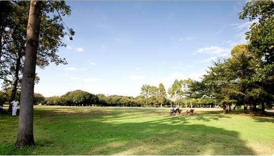 岸根公園 (727m)