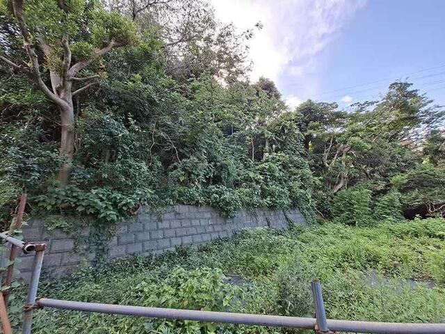現地土地
