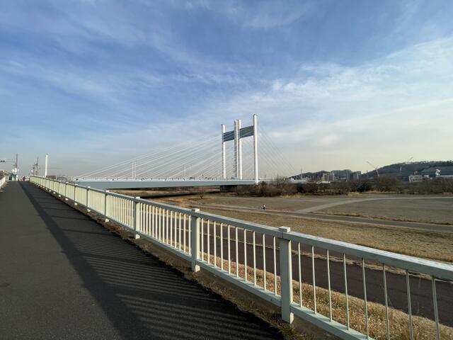 歩きたくなる、多摩川の堤防