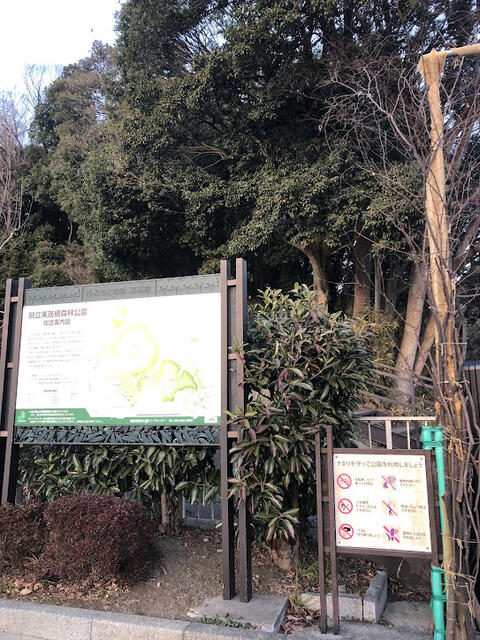 東高根森林公園 (250m)