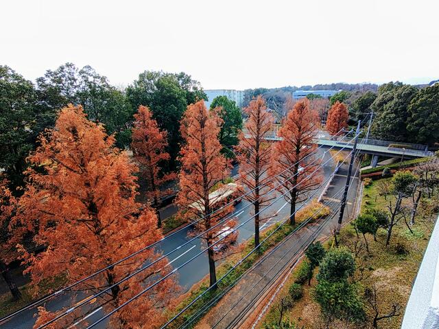 住戸からの眺望