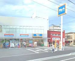 ビッグ・エー相模原相南店 (104m)