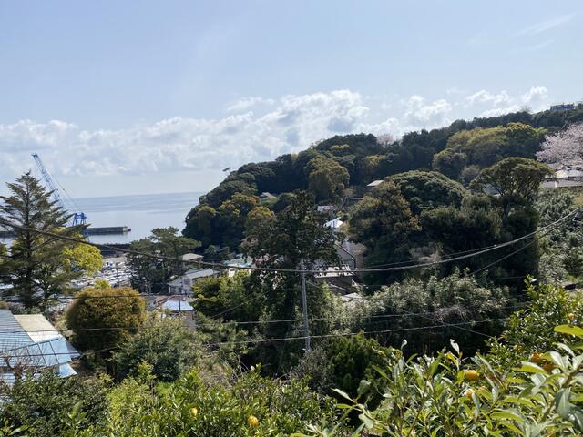 detached 神奈川県足柄下郡真鶴町真鶴