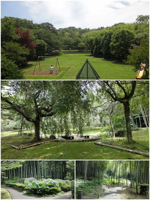 荒井城址公園まで約４０ｍほどです。静かな雰囲気の園内、おすす