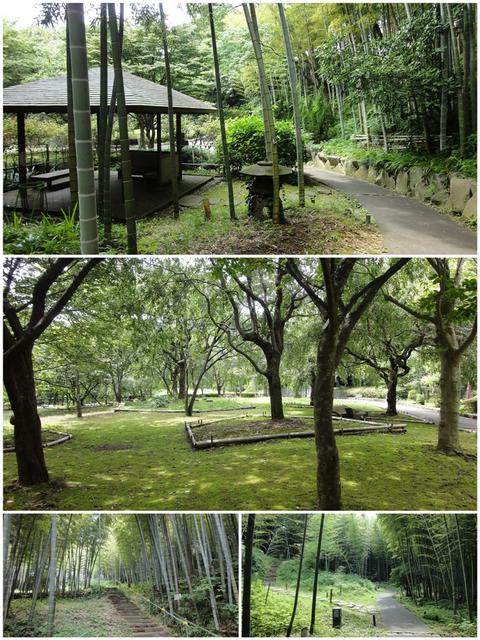 荒井城址公園の別アングル。