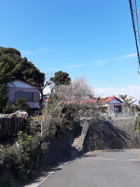 detached 神奈川県足柄下郡真鶴町真鶴 地図を見る