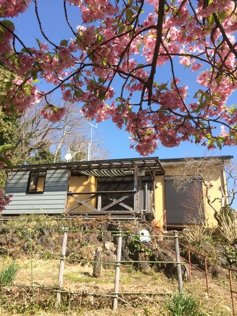 detached 神奈川県足柄下郡真鶴町真鶴 地図を見る